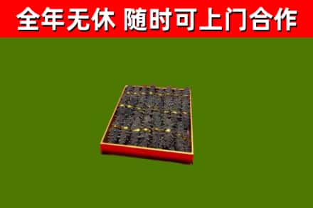 望江烟酒回收海参.jpg